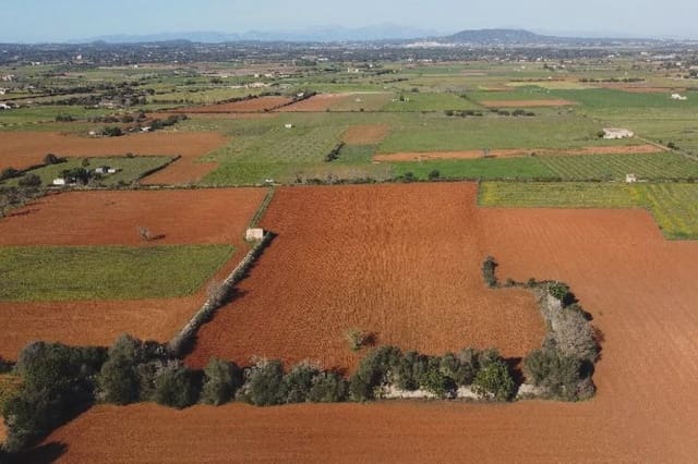 Mark till salu i Felanitx - 275 000 € (Ref: 7399828)