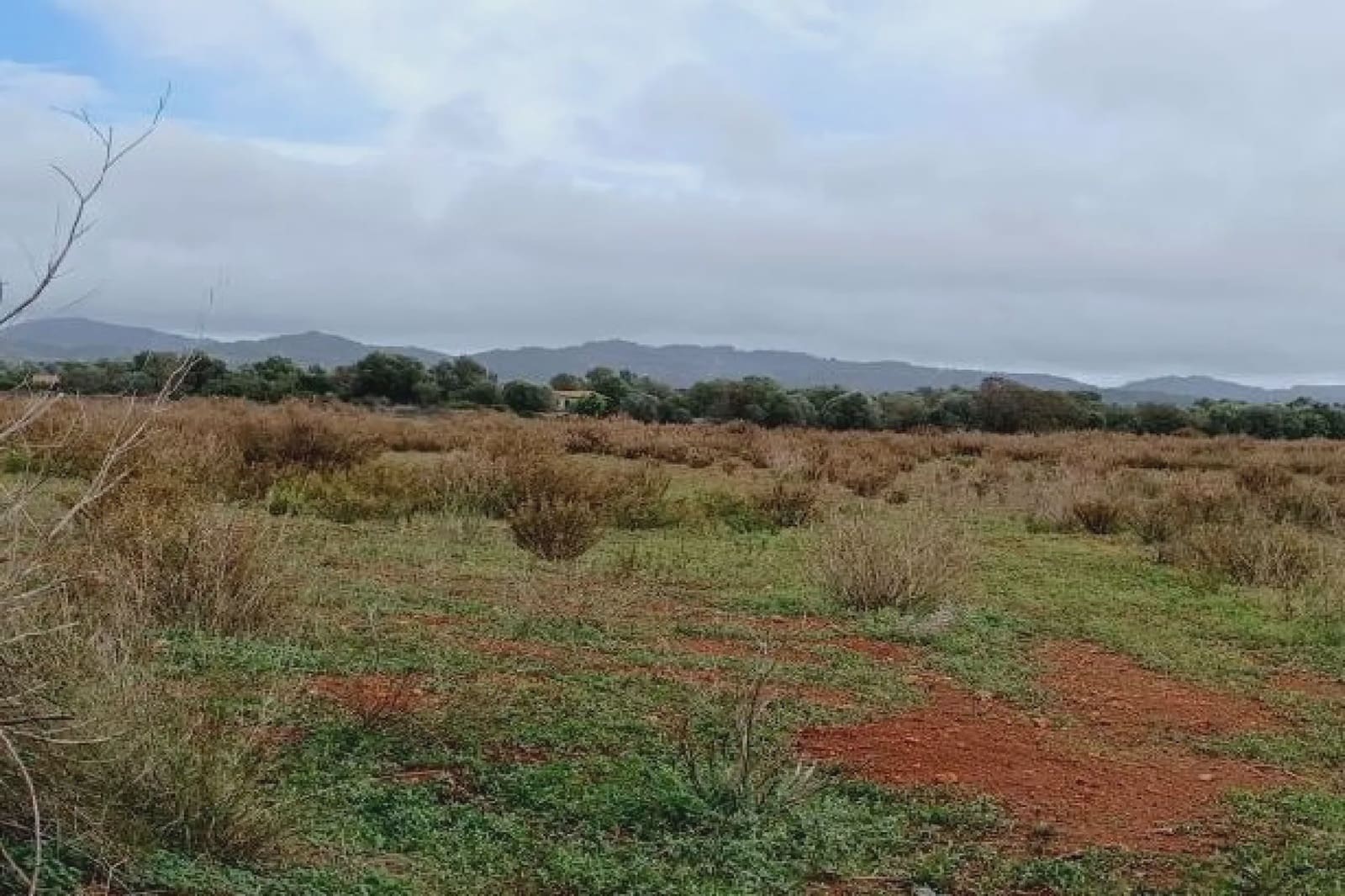 Undeveloped Land for sale in Felanitx - € 275,000 (Ref: 7399828)