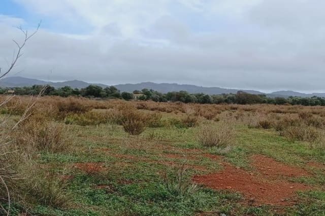 Mark till salu i Felanitx - 275 000 € (Ref: 7399828)