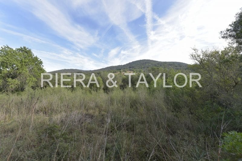 3 soveværelse Finca/Landehus til salg i Son Macia - € 550.000 (Ref: 7485985)