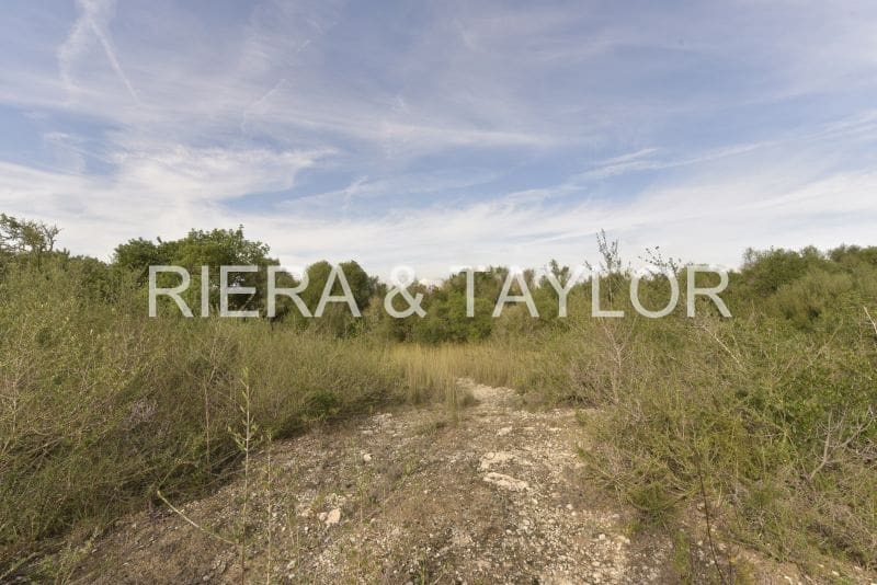 3 soveværelse Finca/Landehus til salg i Son Macia - € 550.000 (Ref: 7485985)