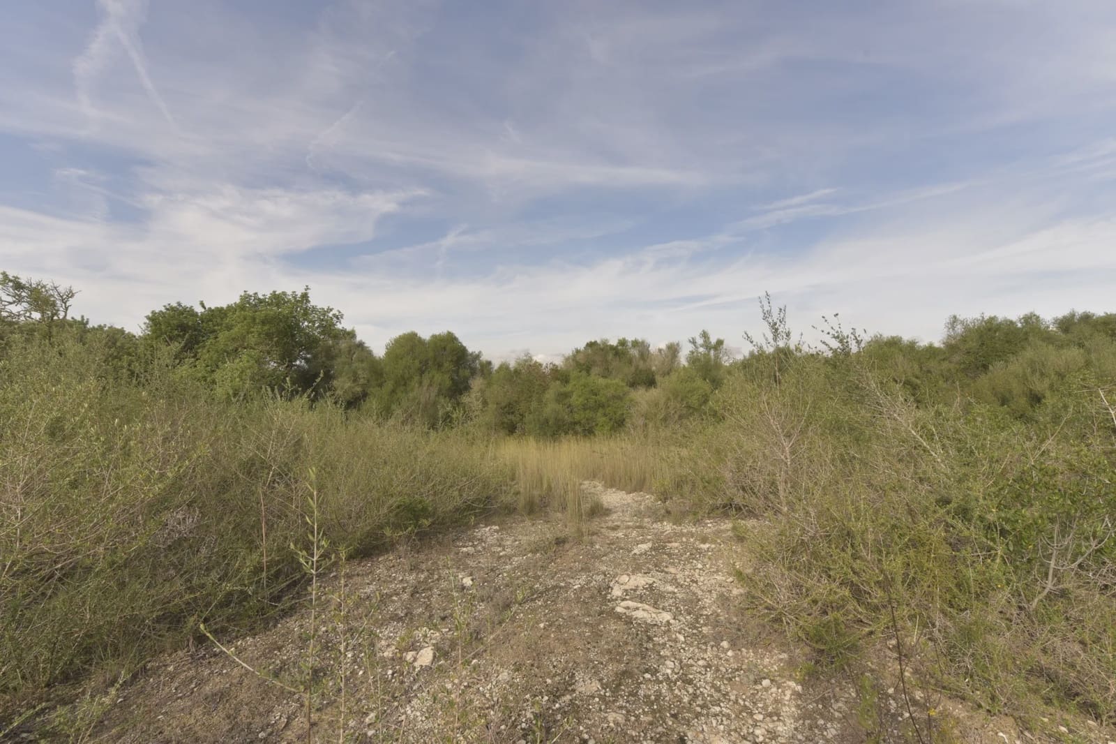 3 soverom Finca/Herregård til salgs i Son Macia - € 550 000 (Ref: 7485985)