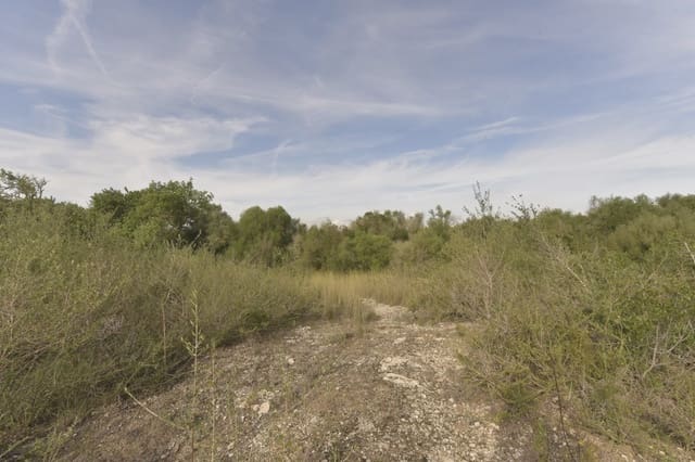 3 slaapkamer Finca/Landhuis te koop in Son Macia, Manacor - € 550.000 (Ref: 7485985)