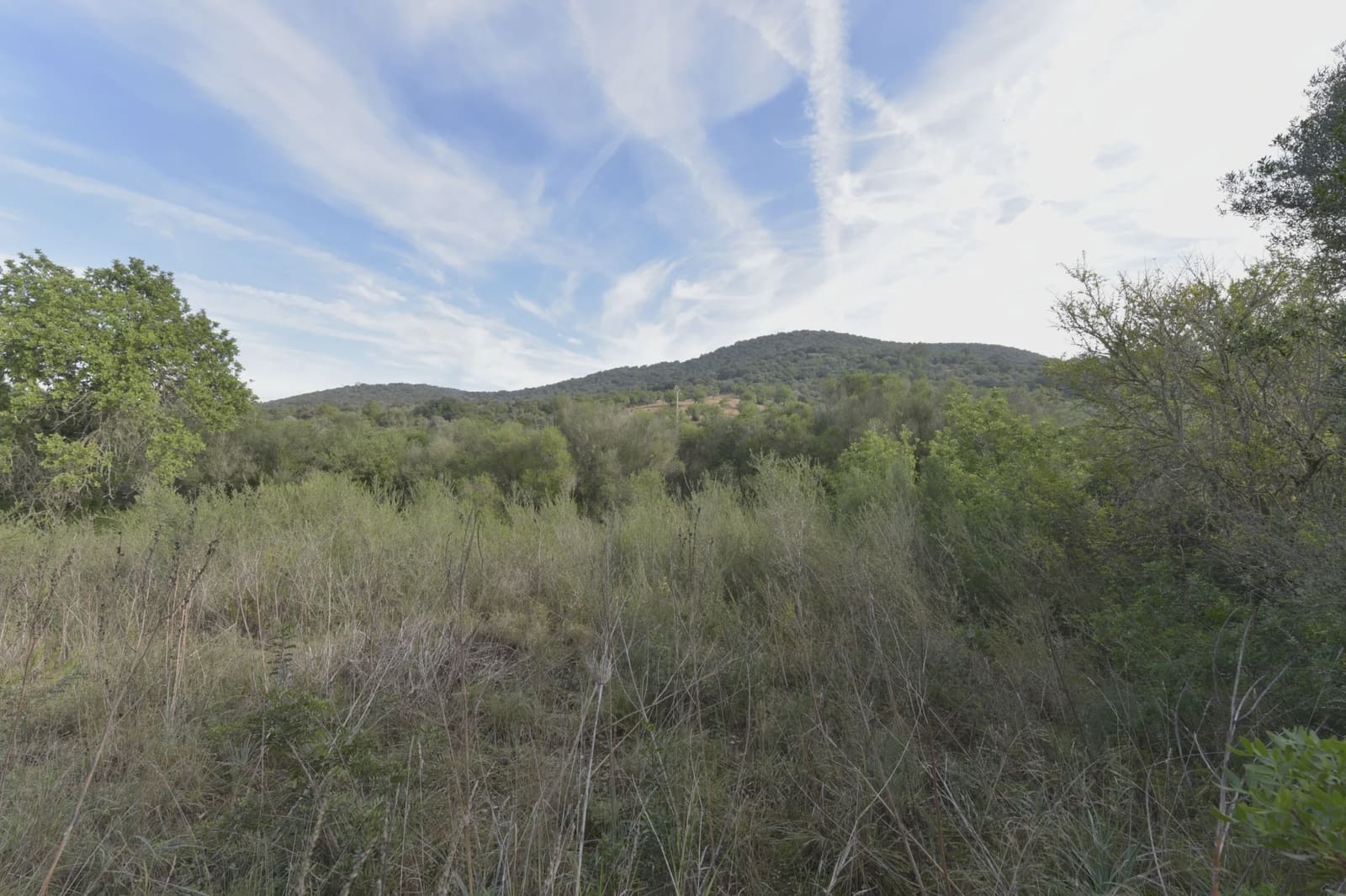 3 soverom Finca/Herregård til salgs i Son Macia - € 550 000 (Ref: 7485985)