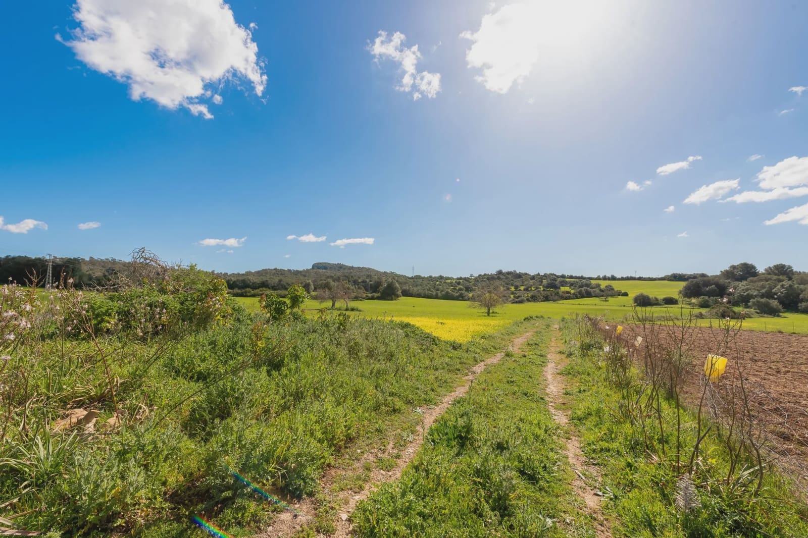 4 camera da letto Finca/Casa di Campagna in vendita in Sant Llorenc des Cardassar - 4.250.000 € (Rif: 7504070)