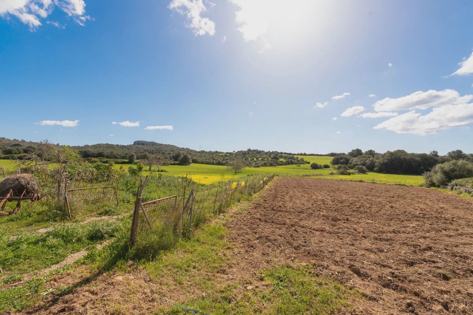 4 camera da letto Finca/Casa di Campagna in vendita in Sant Llorenc des Cardassar - 4.250.000 € (Rif: 7504070)