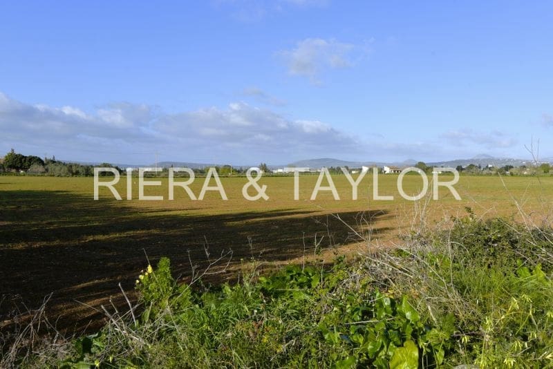 Undeveloped Land for sale in Manacor - € 252,000 (Ref: 7646957)