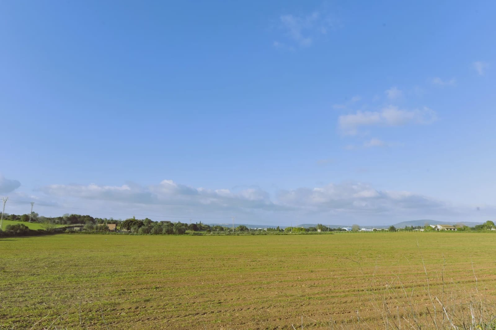 Undeveloped Land for sale in Manacor - € 252,000 (Ref: 7646957)
