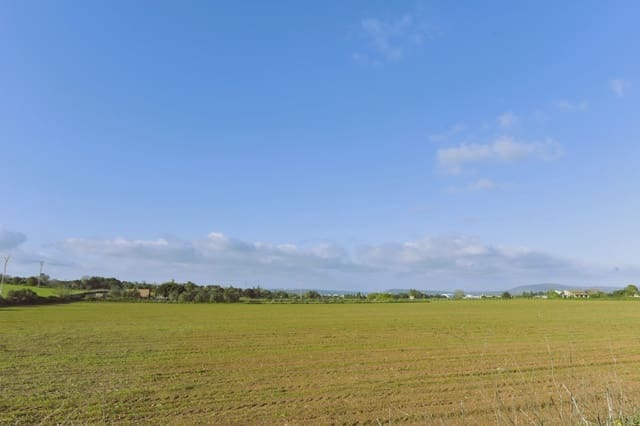 Grunde uden byggetilladelser til salg i Manacor - € 252.000 (Ref: 7646957)