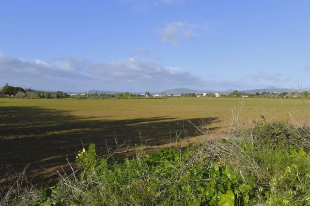 Grunde uden byggetilladelser til salg i Manacor - € 252.000 (Ref: 7646957)