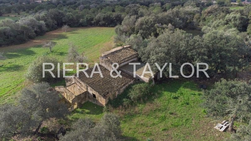 Finca/Country House for sale in Manacor - € 1,300,000 (Ref: 7718537)