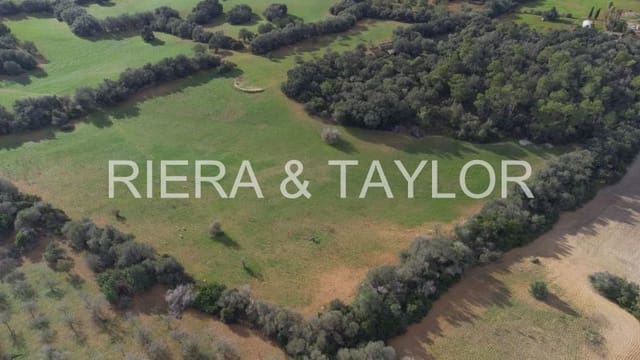 Finca/Country House for sale in Manacor - € 1,300,000 (Ref: 7718537)