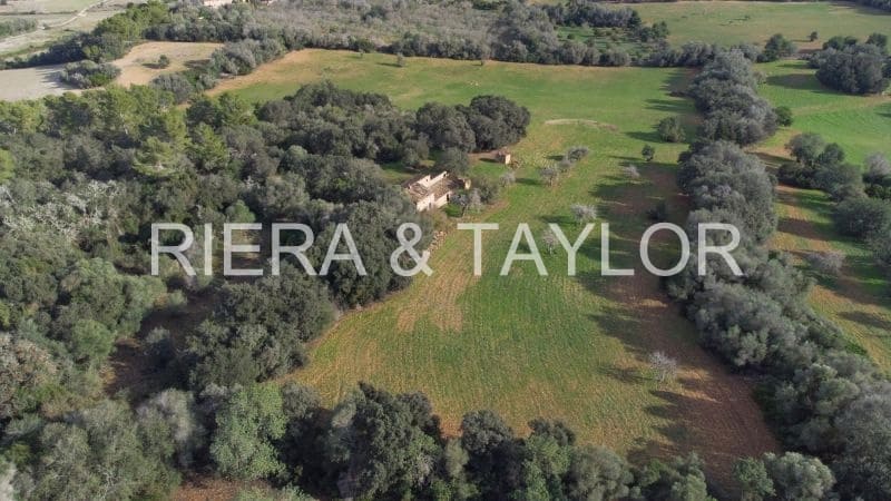 Finca/Country House for sale in Manacor - € 1,300,000 (Ref: 7718537)