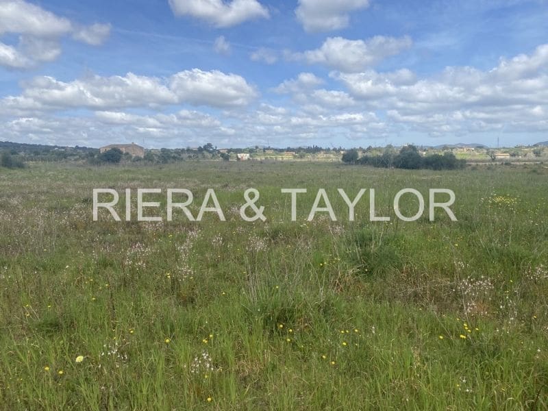 Ubebygd land til salgs i Portocristo / Port de Manacor - € 390 000 (Ref: 7788326)