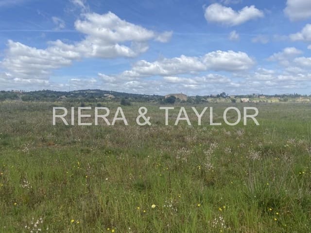 Undeveloped Land for sale in Portocristo / Port de Manacor, Manacor - € 390,000 (Ref: 7788326)