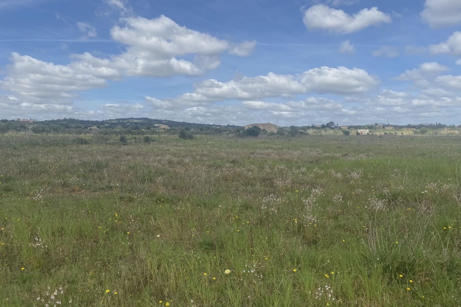 Landgrundstück zu verkaufen in Portocristo / Port de Manacor - 360.000 € (Ref: 7788326)