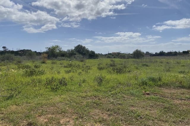 Teren niezagospodarowany na sprzedaż w Portocristo / Port de Manacor, Manacor - 360 000 € (Ref: 7788326)