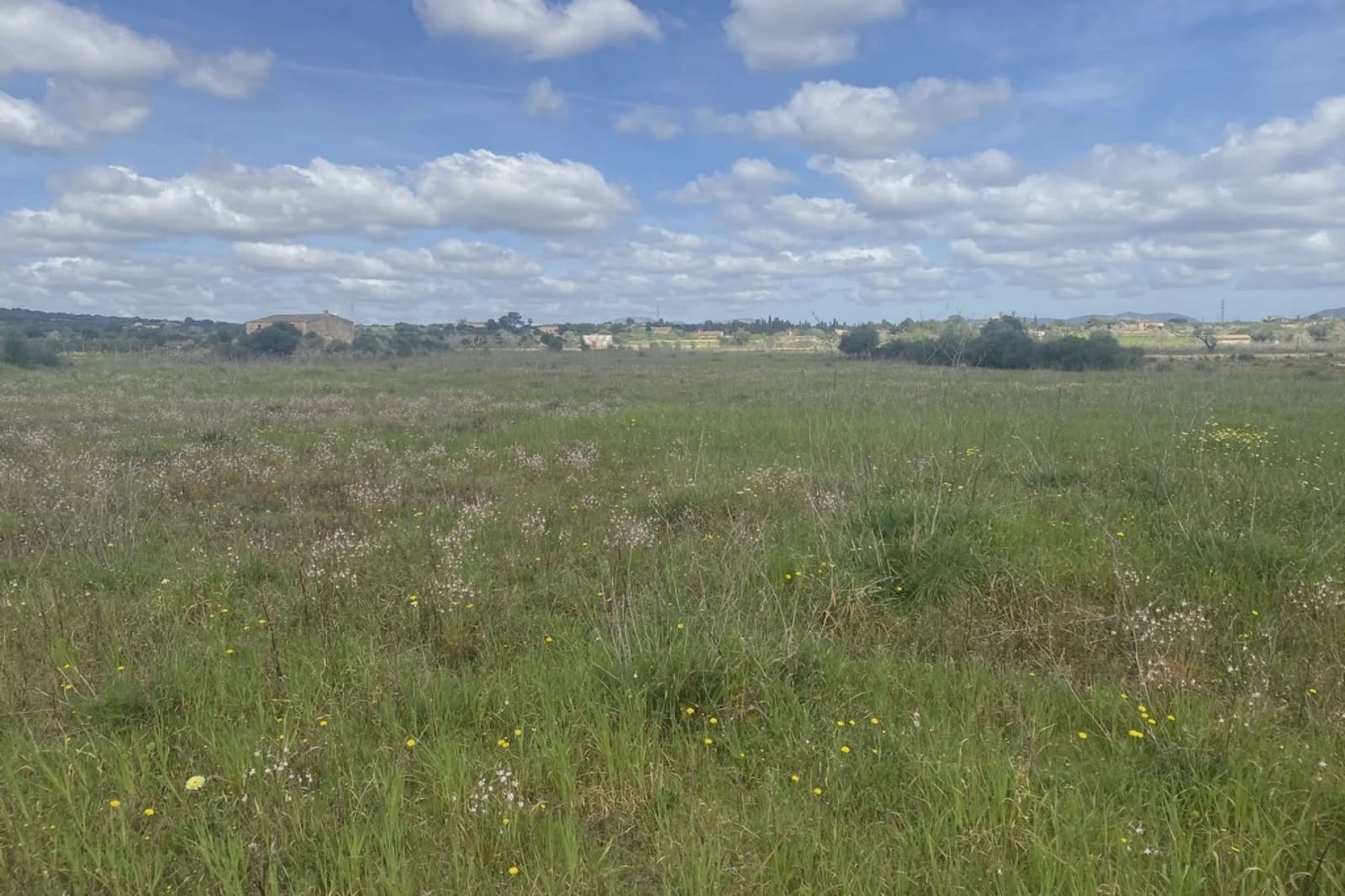 Landgrundstück zu verkaufen in Portocristo / Port de Manacor - 360.000 € (Ref: 7788326)