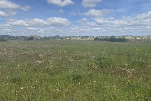 Teren niezagospodarowany na sprzedaż w Portocristo / Port de Manacor, Manacor - 360 000 € (Ref: 7788326)