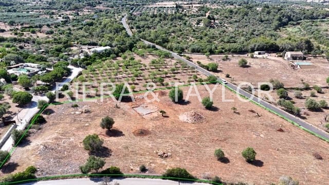 Undeveloped Land for sale in Portocristo / Port de Manacor, Manacor - € 375,000 (Ref: 7856569)