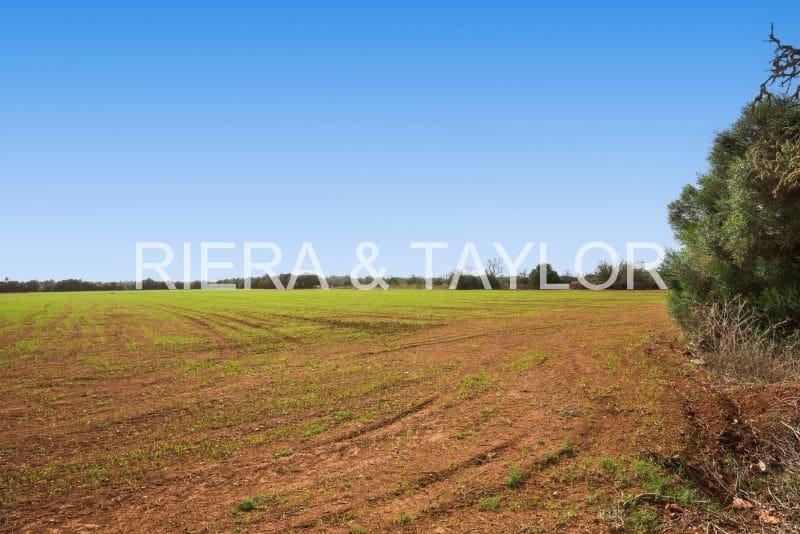 Grunde uden byggetilladelser til salg i Campos - € 180.000 (Ref: 7982673)