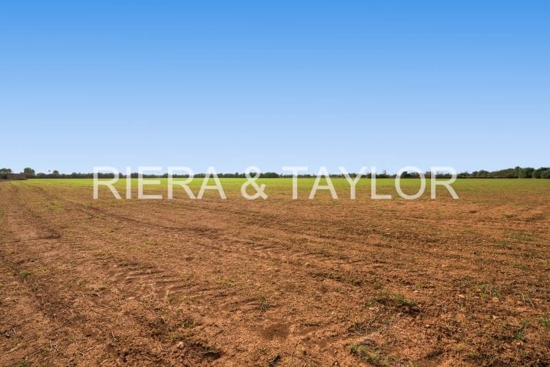 Grunde uden byggetilladelser til salg i Campos - € 180.000 (Ref: 7982673)