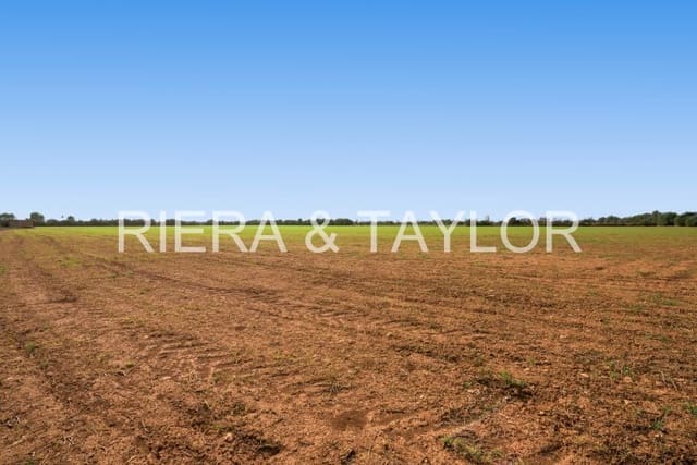 Landgrundstück zu verkaufen in Campos - 180.000 € (Ref: 7982673)