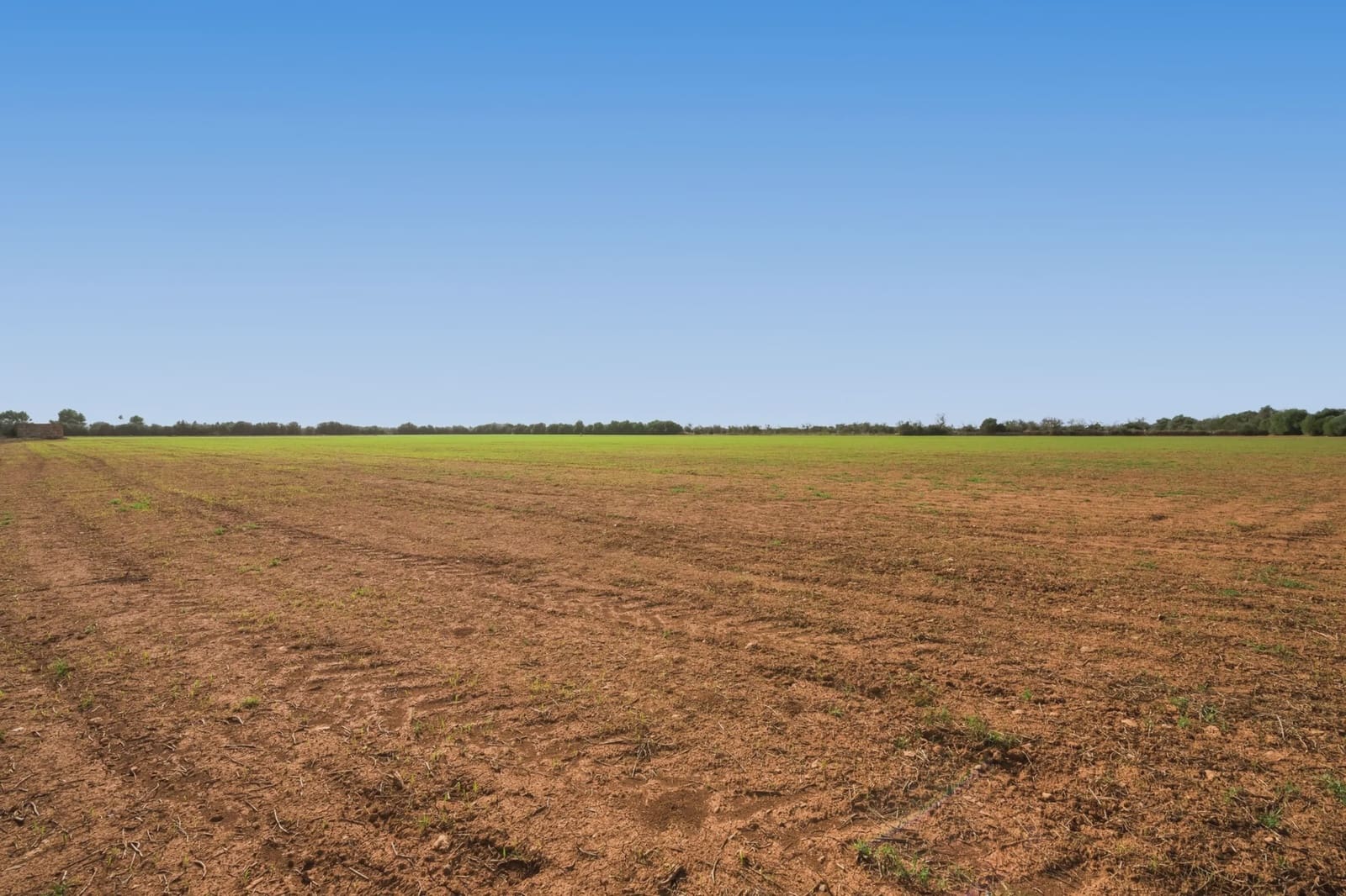 Terre non Aménagée à vendre à Campos - 180 000 € (Ref: 7982673)