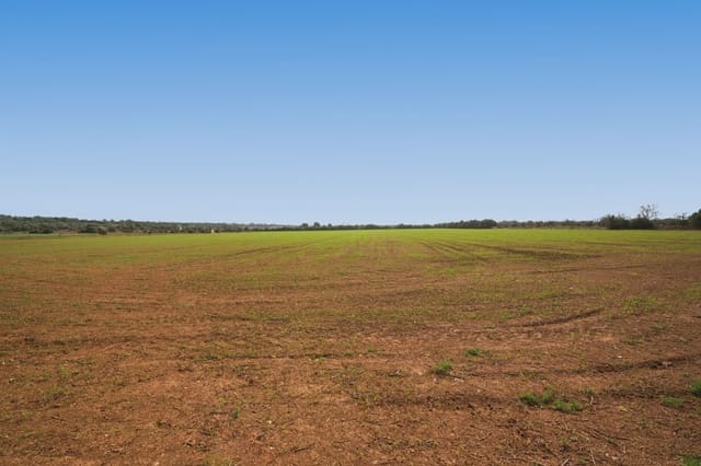 Landgrundstück zu verkaufen in Campos - 180.000 € (Ref: 7982673)