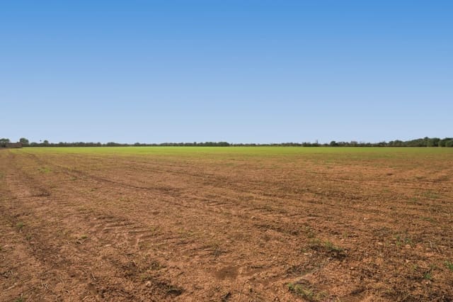 Landgrundstück zu verkaufen in Campos - 180.000 € (Ref: 7982673)