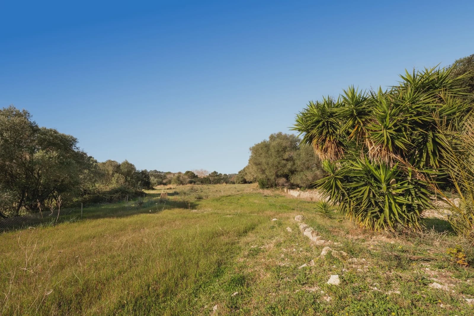 6 soveværelse Finca/Landehus til salg i Arta - € 2.500.000 (Ref: 8047743)