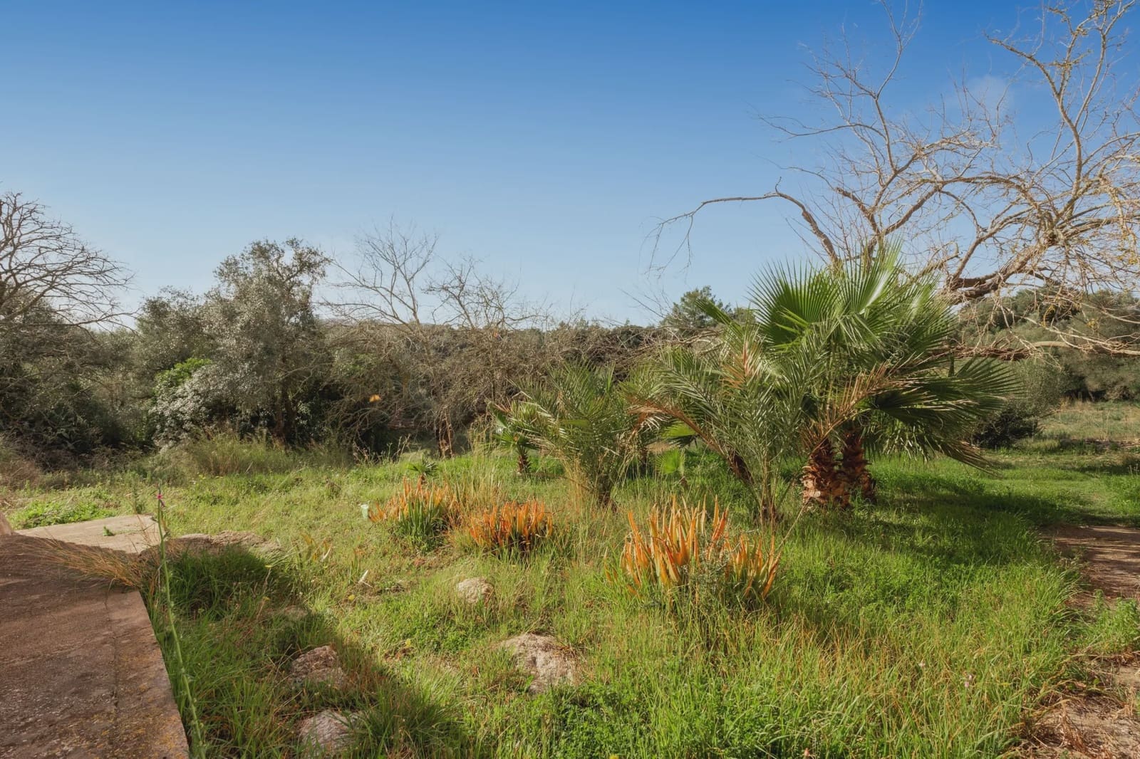 6 soveværelse Finca/Landehus til salg i Arta - € 2.500.000 (Ref: 8047743)