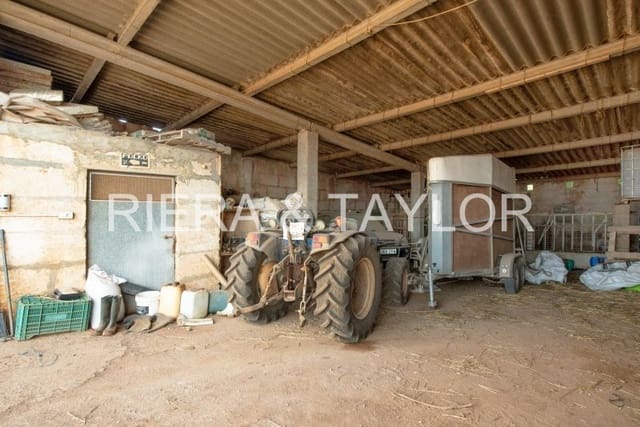 Finca/Country House for sale in Manacor - € 493,396 (Ref: 8052266)