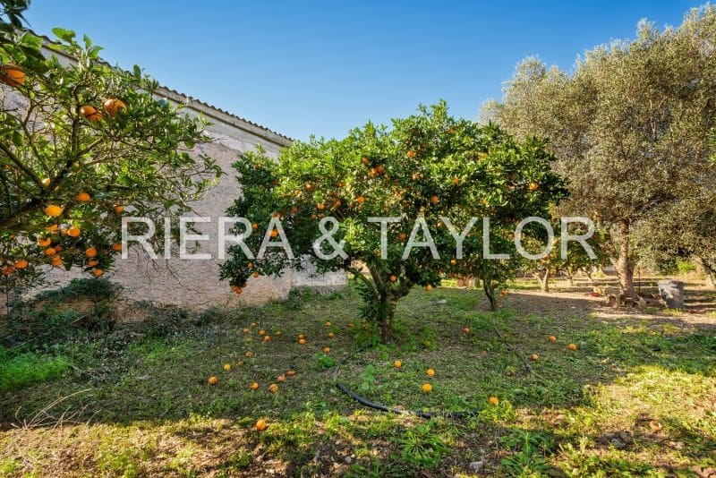 3 soveværelse Finca/Landehus til salg i Son Servera - € 599.000 (Ref: 8100275)