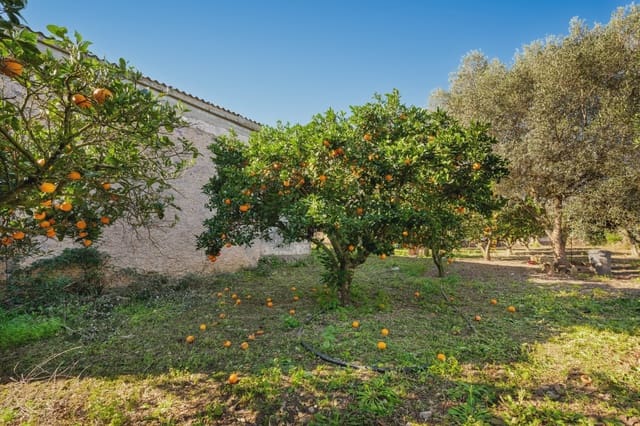 3 chambre Finca/Maison de Campagne à vendre à Son Servera - 599 000 € (Ref: 8100275)