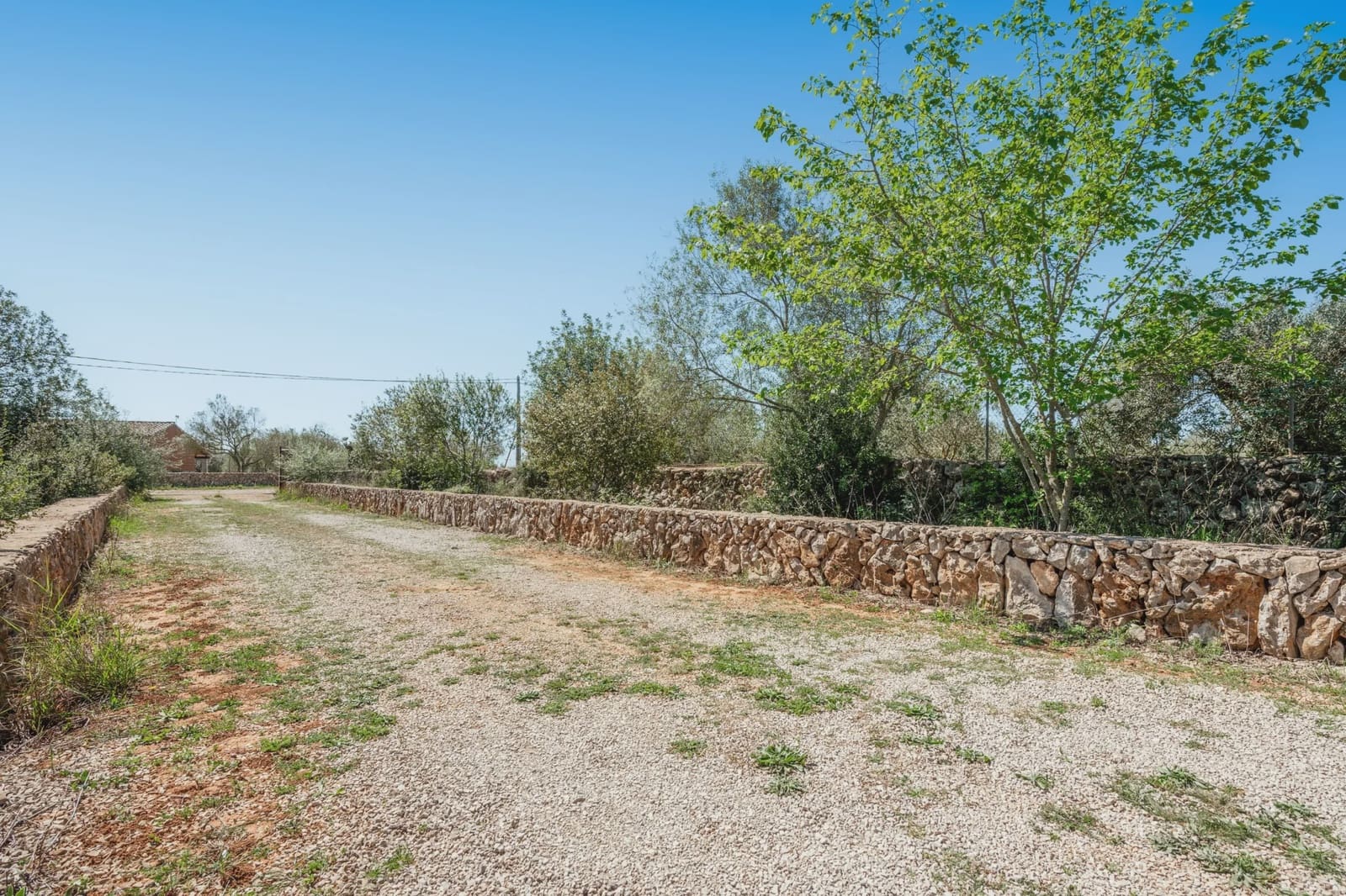4 quarto Quinta/Casa Rural para venda em Manacor - 540 000 € (Ref: 8200943)