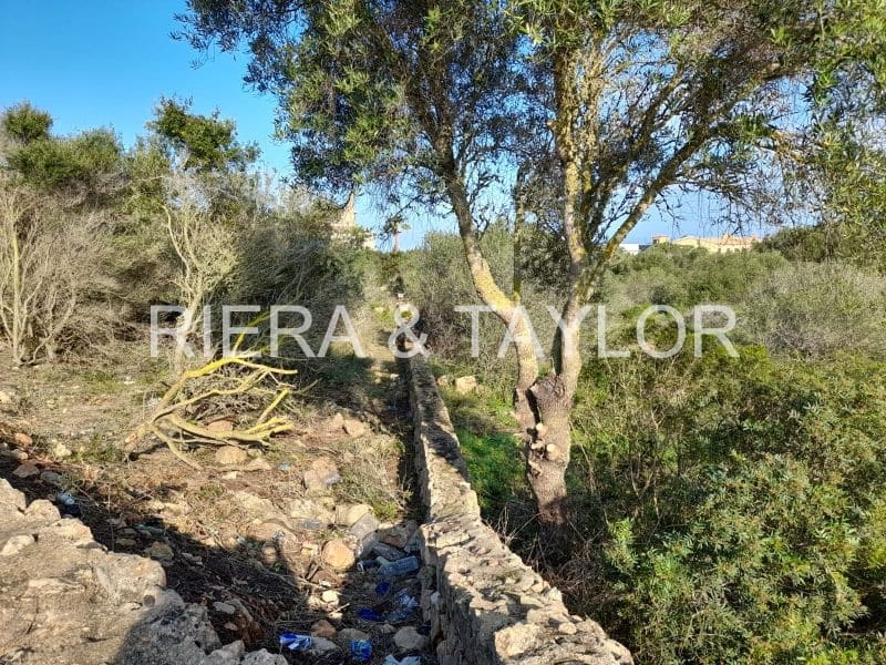 Bouwgrond te koop in Llucmajor - € 424.000 (Ref: 8200980)