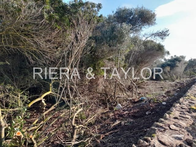 Bouwgrond te koop in Llucmajor - € 424.000 (Ref: 8200980)