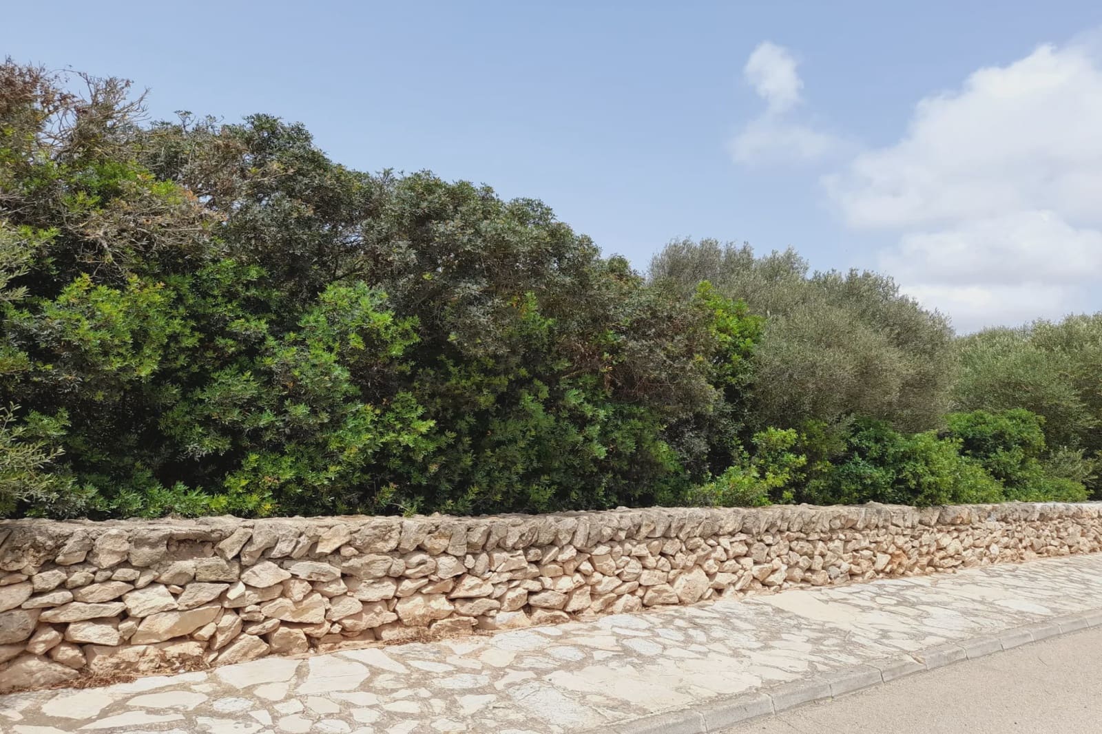 Byggetomt til salgs i Llucmajor - € 424 000 (Ref: 8200980)