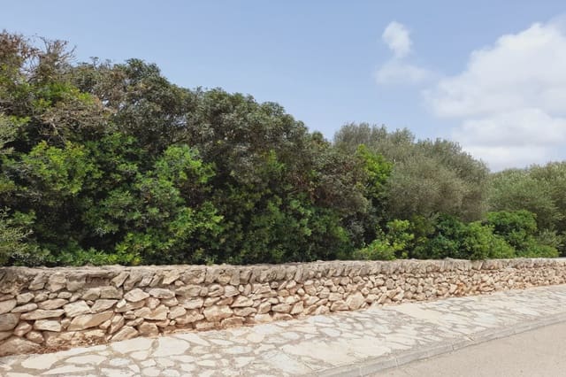 Byggegrund til salg i Llucmajor - € 424.000 (Ref: 8200980)