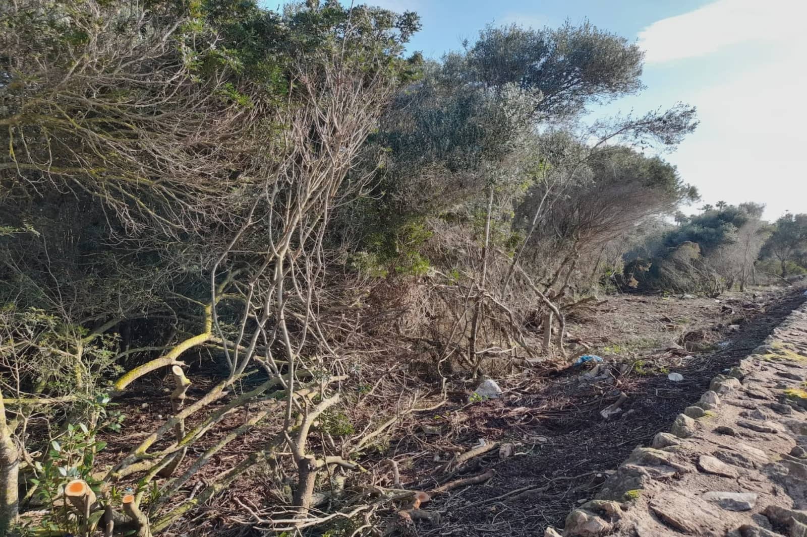 Byggetomt til salgs i Llucmajor - € 424 000 (Ref: 8200980)