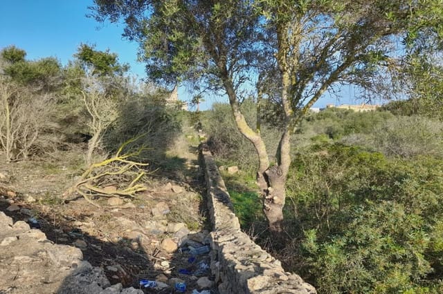 Byggegrund til salg i Llucmajor - € 424.000 (Ref: 8200980)