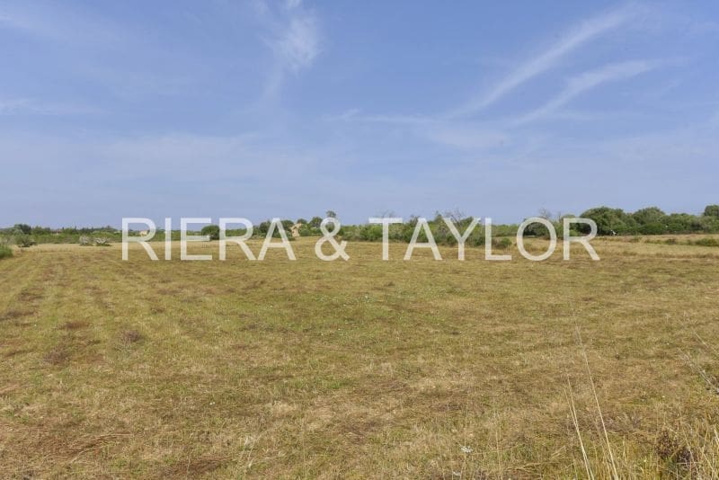 Terreno/Finca Rústica en Manacor en venta - 128.000 € (Ref: 8210605)