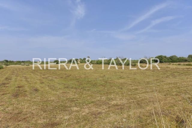 Terreno/Finca Rústica en Manacor en venta - 128.000 € (Ref: 8210605)