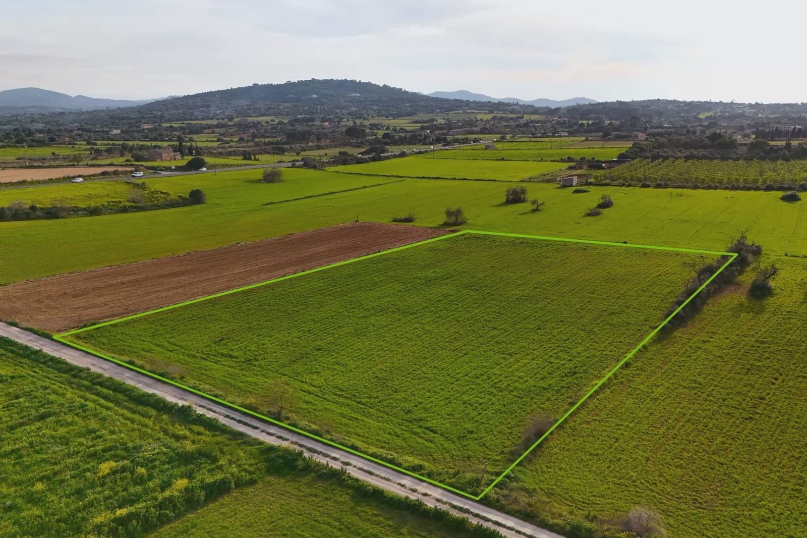 Undeveloped Land for sale in Manacor - € 190,000 (Ref: 8210605)