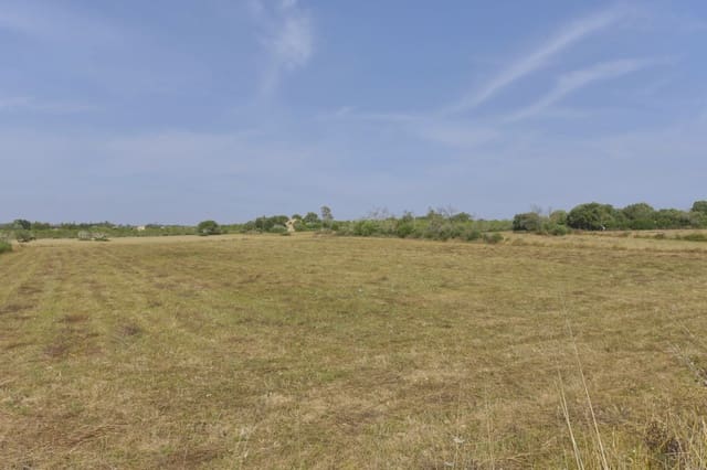 Grunde uden byggetilladelser til salg i Manacor - € 190.000 (Ref: 8210605)