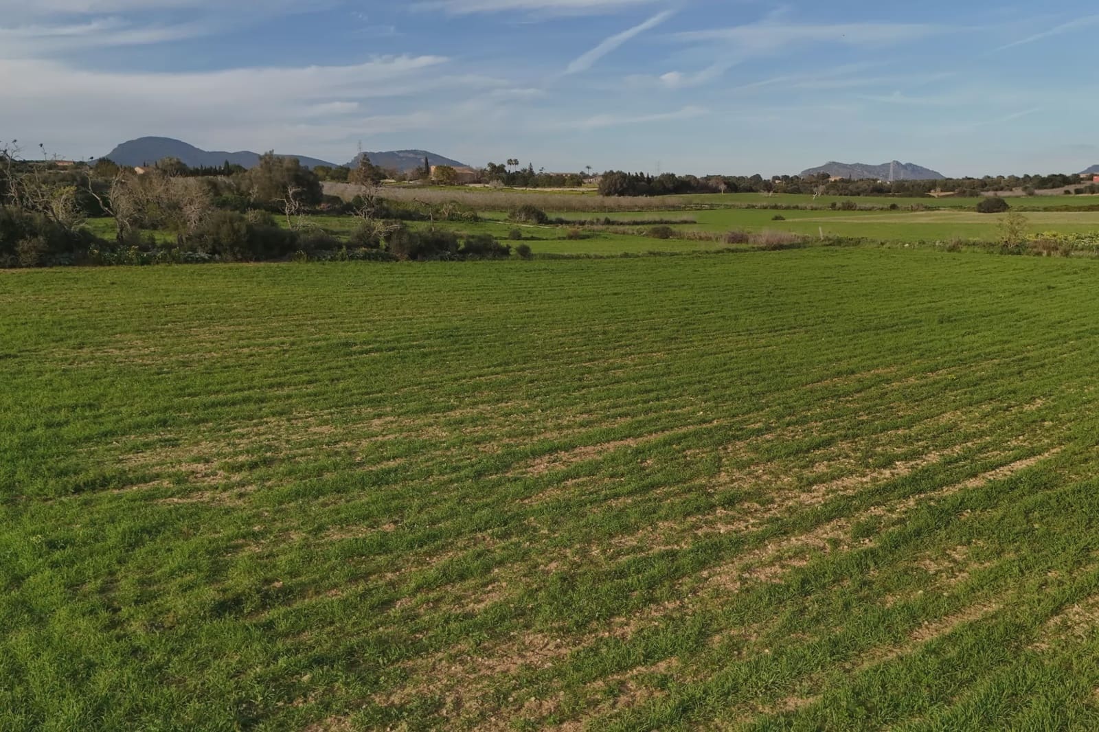 Undeveloped Land for sale in Manacor - € 190,000 (Ref: 8210605)