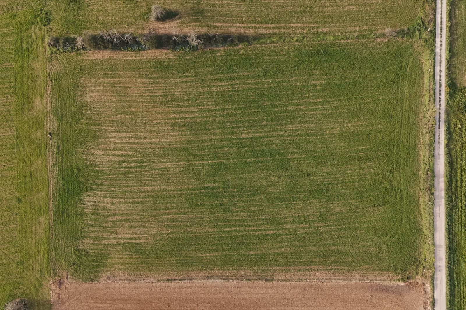 Undeveloped Land for sale in Manacor - € 190,000 (Ref: 8210605)