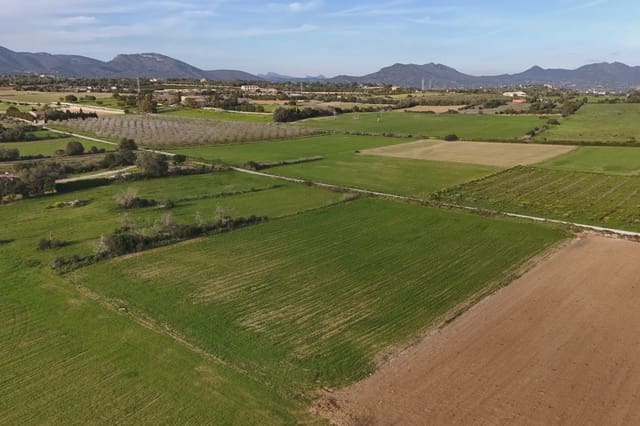 Grunde uden byggetilladelser til salg i Manacor - € 190.000 (Ref: 8210605)