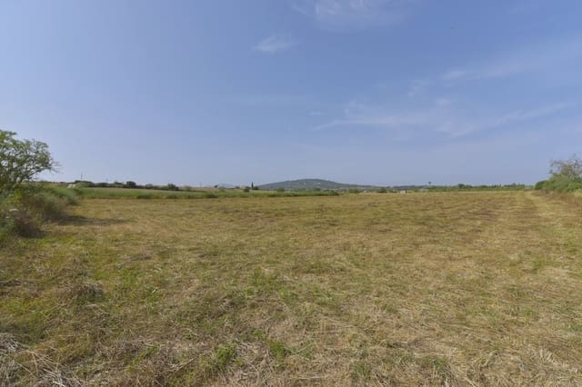 Grunde uden byggetilladelser til salg i Manacor - € 190.000 (Ref: 8210605)